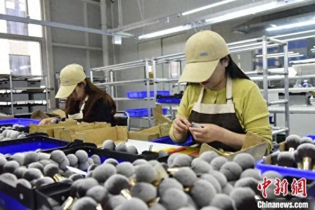 真有“两把刷子”！冰球突破技巧沧州(图8)