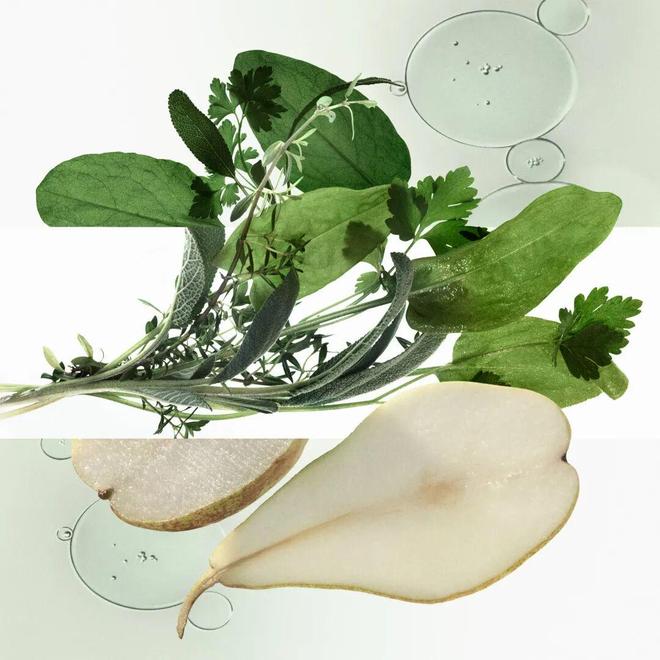 序章已启美妆、香氛与腕表共赴闪耀时刻冰球